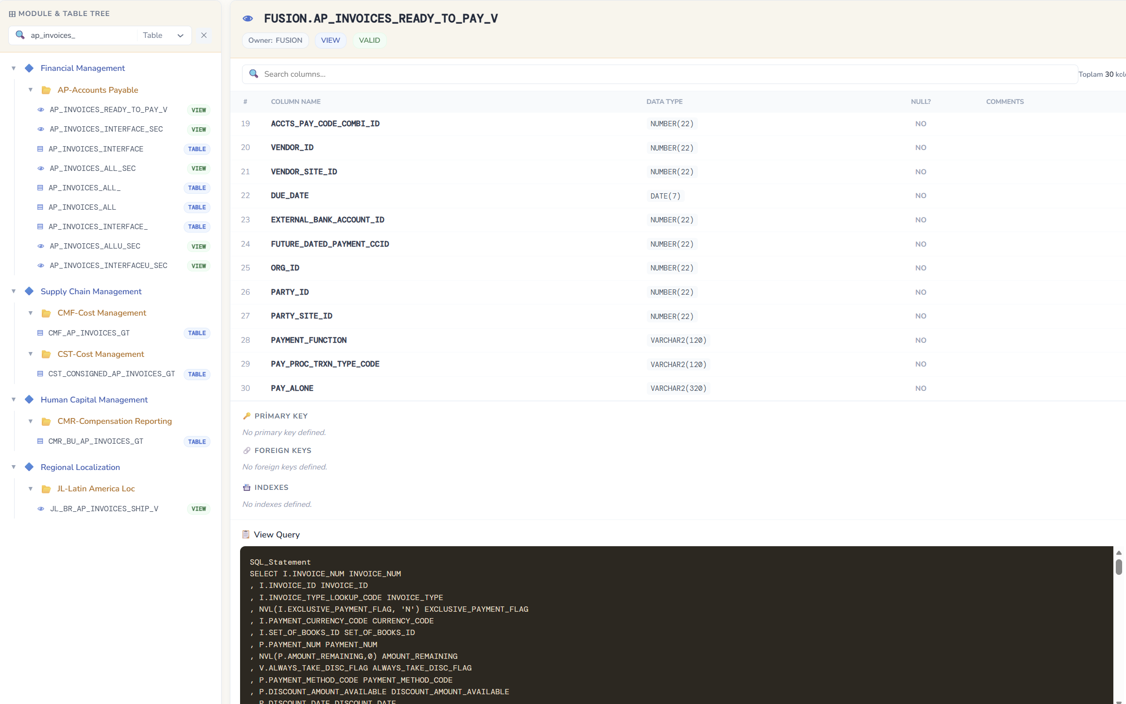 FusionLens Database Browser showing Oracle Fusion view SQL definition